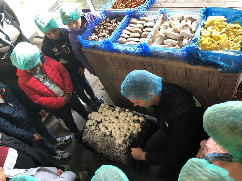 OP BEZOEK BIJ KOOLEN CHAMPIGNONS